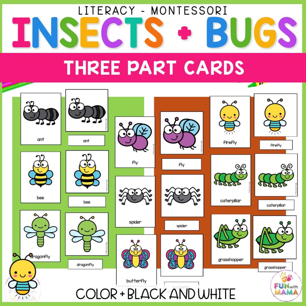 Insect Three Part Cards